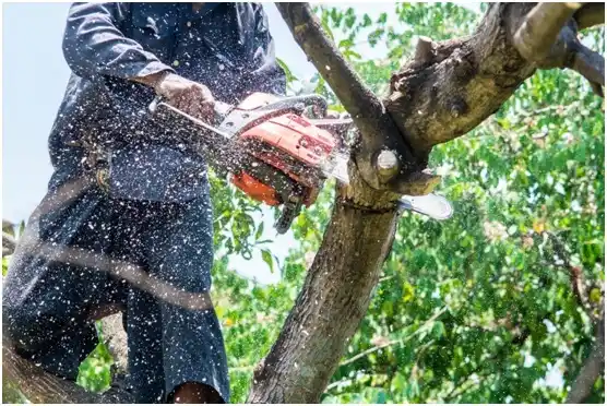 tree services Tooele